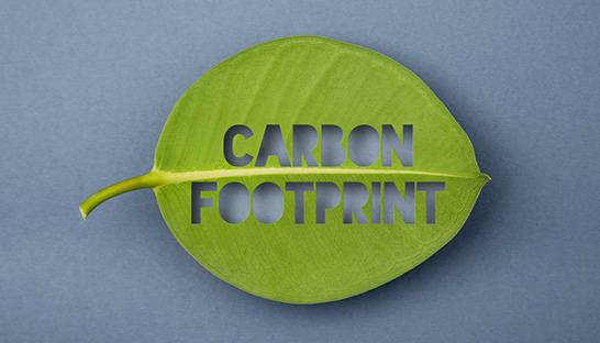 Independent consultants more concerned about carbon footprint