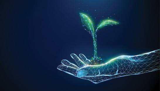 Research: Making IT more sustainable a top priority for CIOs