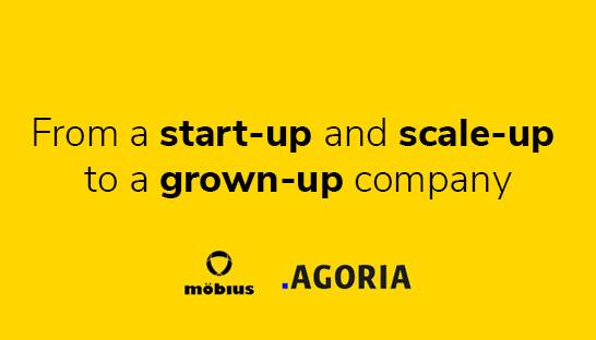 Scaling from a start-up and scale-up to a grown-up company