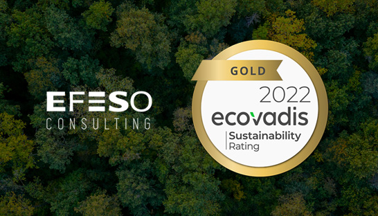 EcoVadis names EFESO Consulting a top performer in sustainability