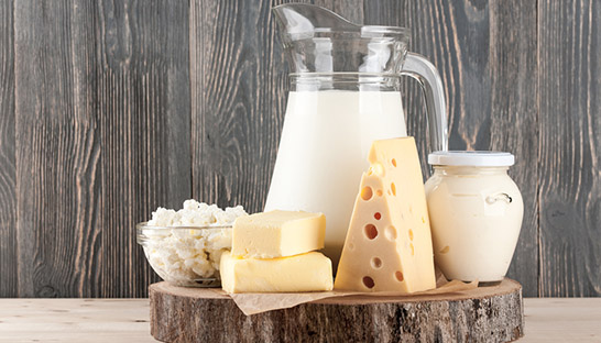 BTS delivers management development program at dairy company