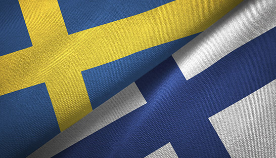 Growth of Swedish and Finnish consultancies slowed in 2023