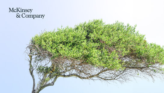 Global private markets fundraising falls to 6-year low: $1,000 billion