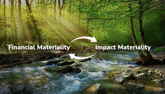 A framework for conducting the CSRD's Double Materiality Assessment