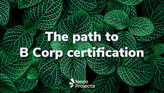 The path to B Corp certification in 7 steps