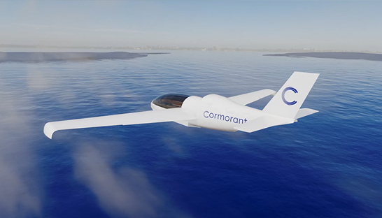 RiskSphere supported sustainable aviation company Cormorant with strategy