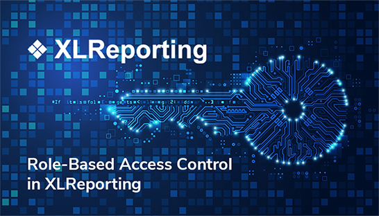 Role-Based Access Control in XLReporting: Secure, flexible, and practical