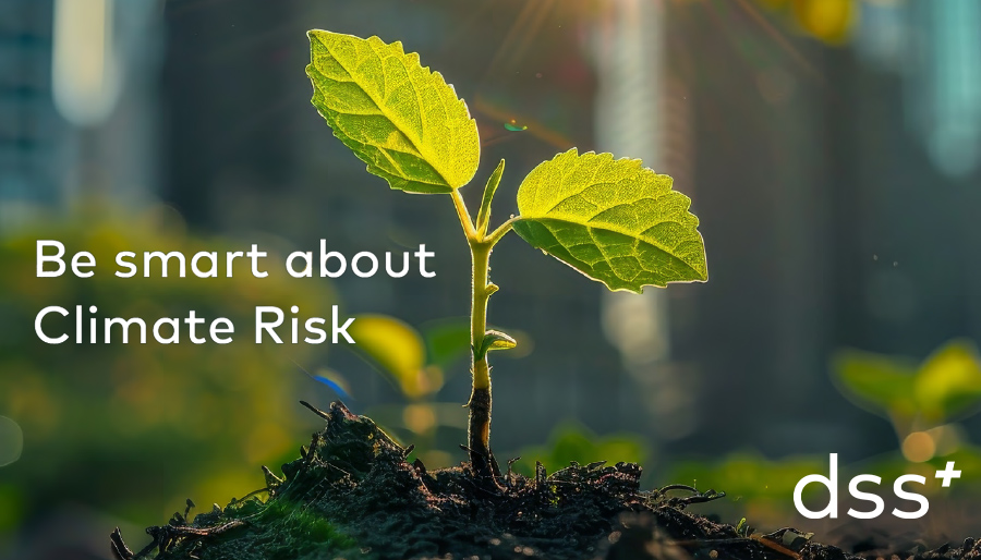 Mastering climate risk: dss+ framework sets out a 10-step approach