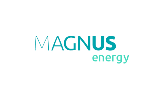 Consulting firm in Europe: Magnus Energy