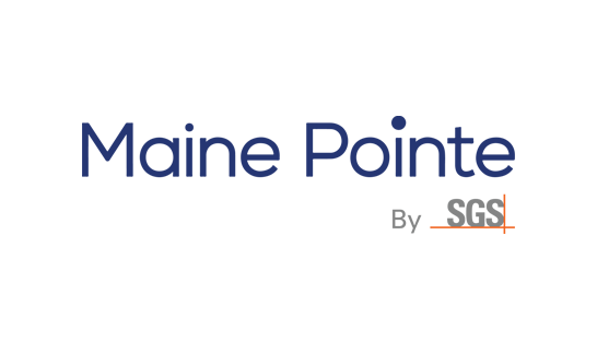 Consulting firm in Europe: Maine Pointe